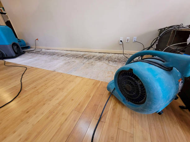 Professional Flood Damage Cleanup technician working in Uncasville, CT